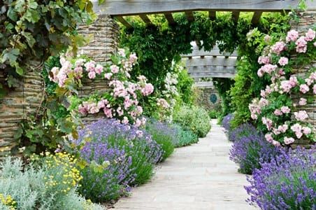 The Pergola by Jason Ingram The Pergola by Jason Ingram